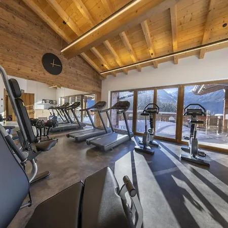 Chalet In Neukirchen Near Ski Arena Wildkogel Chalet Neukirchen am Grossvenediger